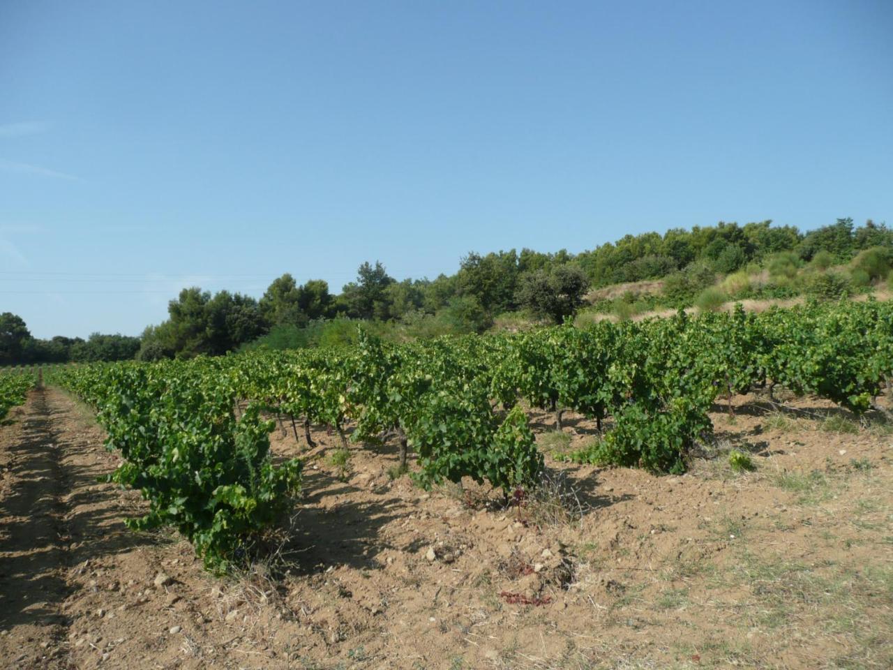 Gite Du Serre De Boudre Climatise, Spa Permanent Buisson Εξωτερικό φωτογραφία